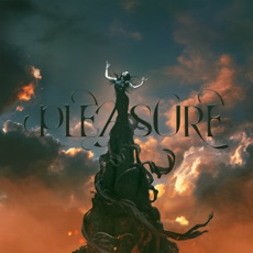 蔡依林《Pleasure》真实专辑封面